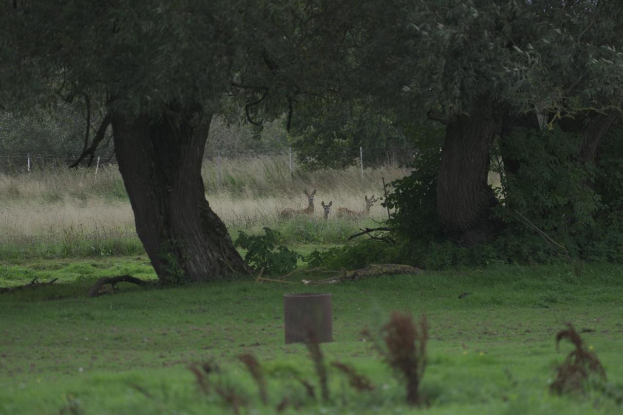 Domki Letniskowe Nad Morzem Darłowo Buitenkant foto