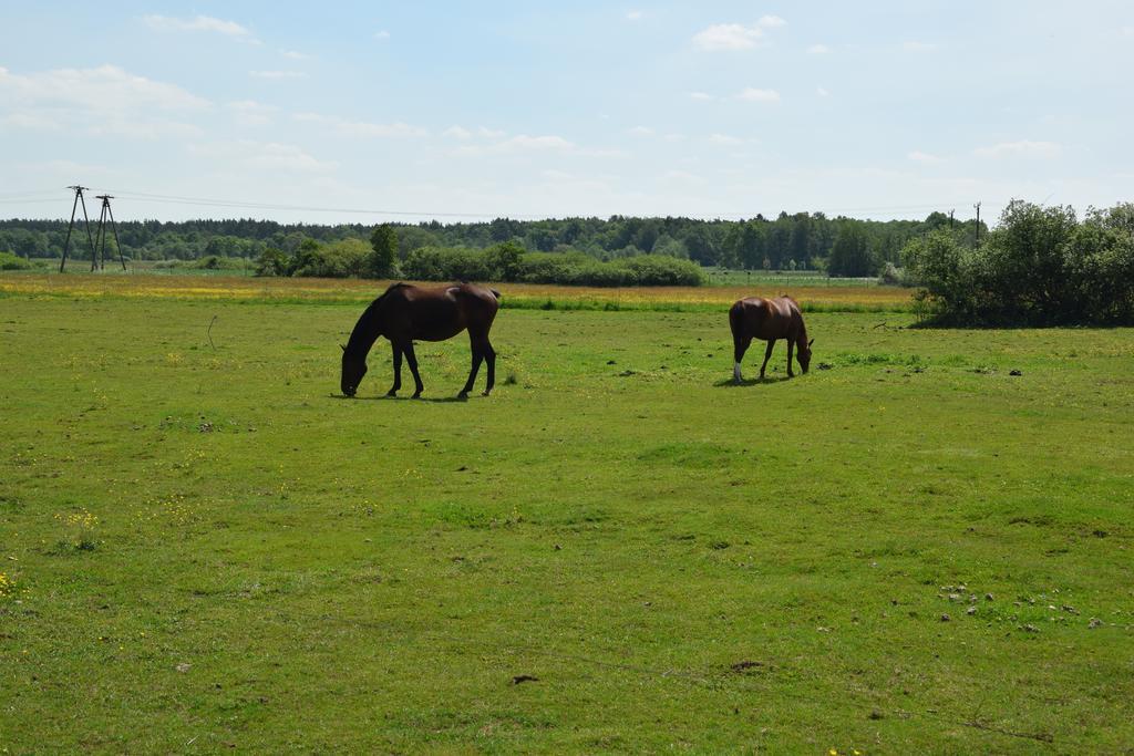 Domki Letniskowe Nad Morzem Darłowo Buitenkant foto